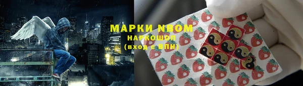 дмт Надым
