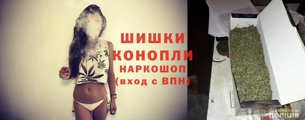 дмт Надым