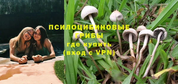 спиды Наволоки