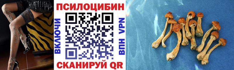 Псилоцибиновые грибы Cubensis  Прокопьевск 