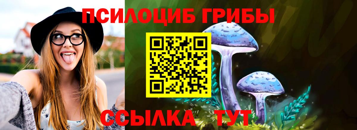 Псилоцибиновые грибы мицелий Прокопьевск